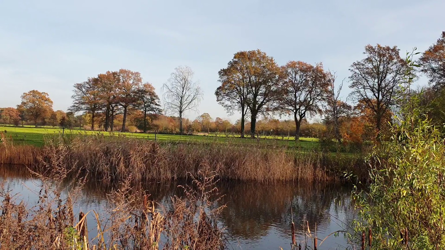 Omgeving Winterswijk Natuur